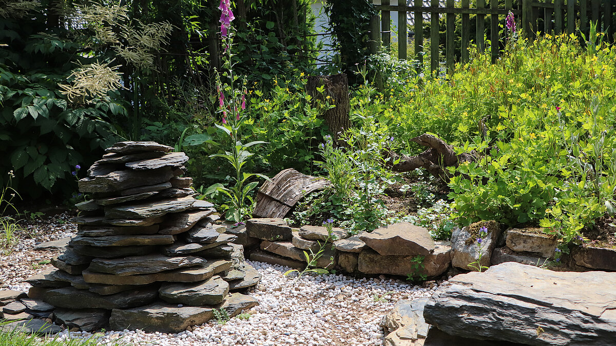 Crowdfunding Dommusik-Garten